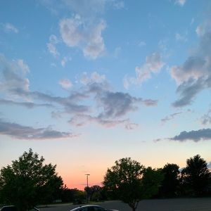 Meet your Posher, Amelia